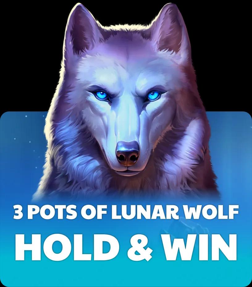 3 Pots of Lunar Wolf – Hold & Win