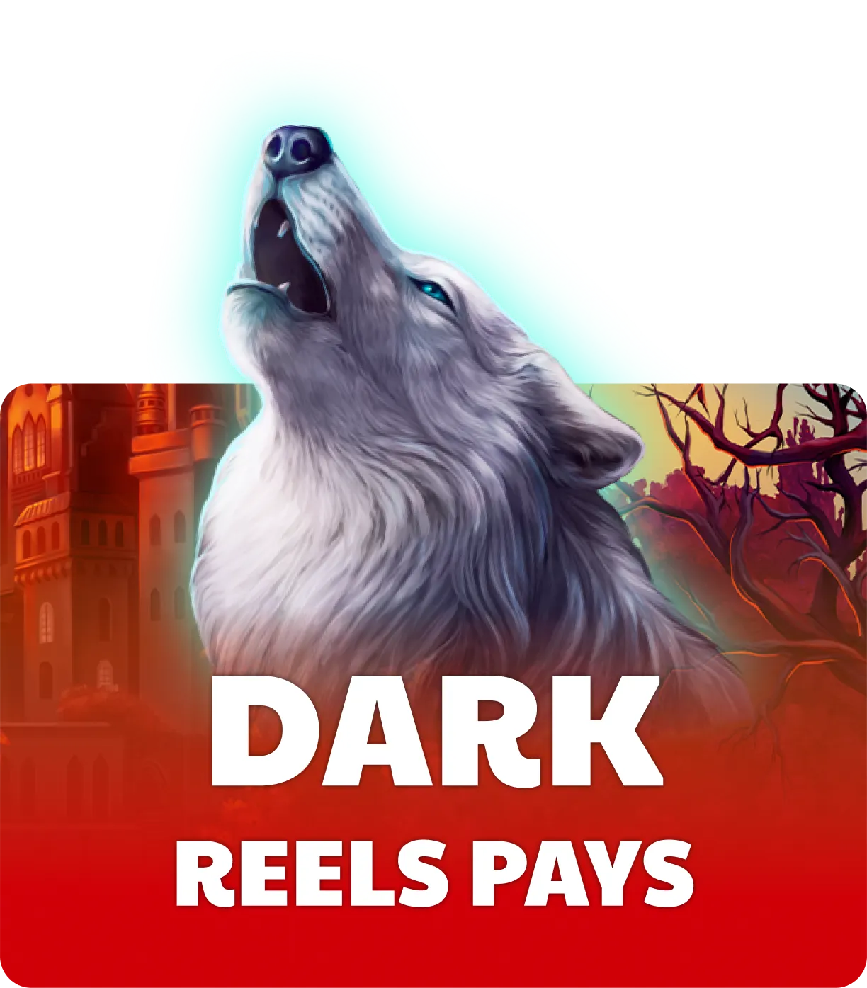 Dark Reels Pays