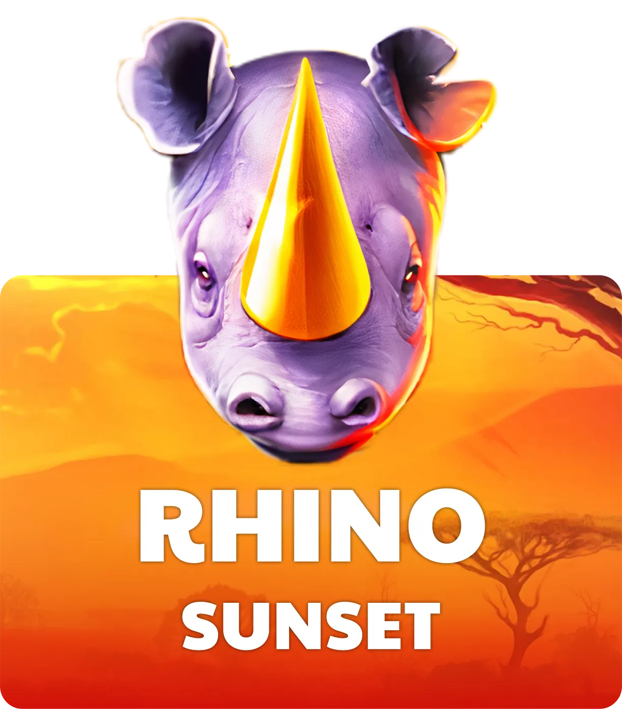 Rhino Sunset